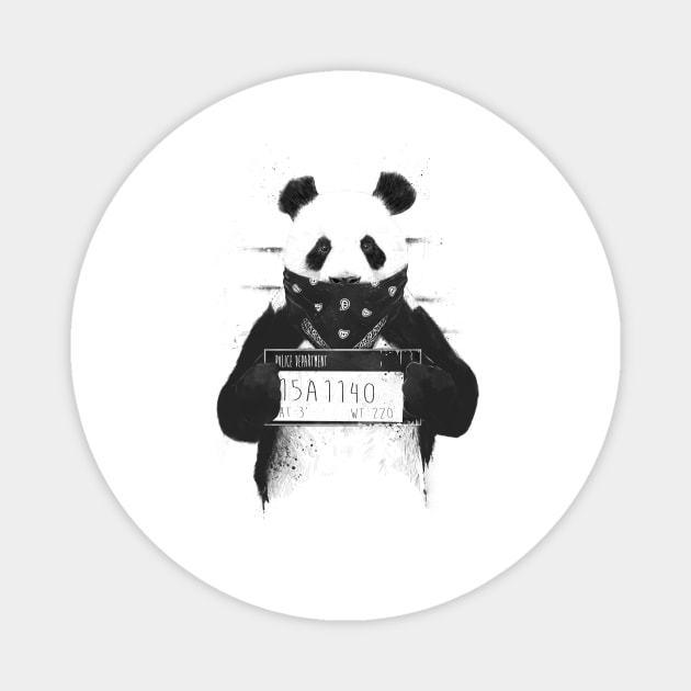 Bad panda Magnet by soltib